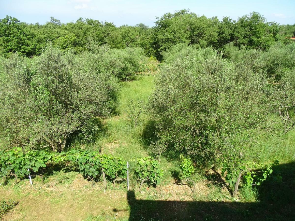 Vila S Bazenom Anastazija Villa Poljica  Buitenkant foto